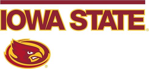 Venley NCAA University Mens/Womens Boyfriend T-Shirt in Kuwait