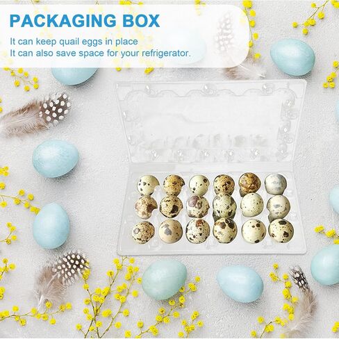 DOITOOL 18 Grids Quail Egg Cartons, 50 Pcs Small Eggs Cartons Egg Holders with Cover, Plastic Egg Tray for Refrigerator, Pigeon Eggs Storage in Saudi Arabia