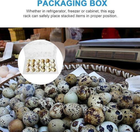 DOITOOL 18 Grids Quail Egg Cartons, 50 Pcs Small Eggs Cartons Egg Holders with Cover, Plastic Egg Tray for Refrigerator, Pigeon Eggs Storage in Saudi Arabia