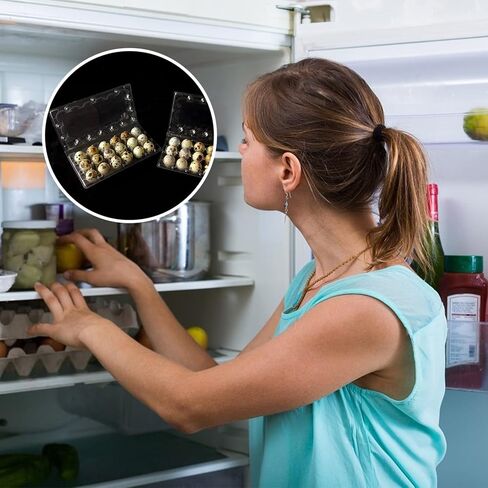 DOITOOL 18 Grids Quail Egg Cartons, 50 Pcs Small Eggs Cartons Egg Holders with Cover, Plastic Egg Tray for Refrigerator, Pigeon Eggs Storage in Saudi Arabia