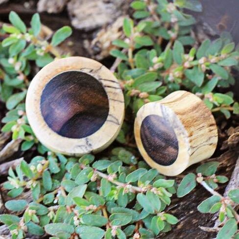 Covet Jewelry Organic Crocodile Wood Saddle Plug with Ebony Inlay in Saudi Arabia