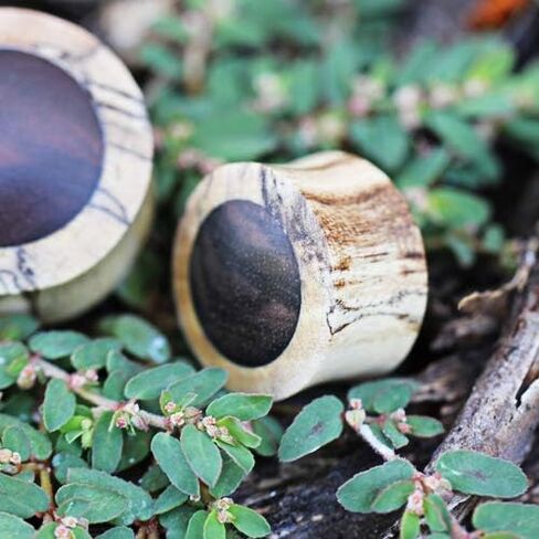 Covet Jewelry Organic Crocodile Wood Saddle Plug with Ebony Inlay in Saudi Arabia