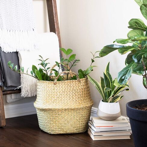 سلة بطن من العشب البحري كبيرة الحجم XXL مع مقابض – منسوجة يدويًا بنسبة 100% من الأعشاب البحرية التي تنمو بشكلٍ مستدام - سلة مزخرفة لغرفة المعيشة وغرفة النوم وتخزين البطاطين وغسيل الملابس والألعاب in Kuwait