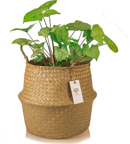 سلة بطن من العشب البحري كبيرة الحجم XXL مع مقابض – منسوجة يدويًا بنسبة 100% من الأعشاب البحرية التي تنمو بشكلٍ مستدام - سلة مزخرفة لغرفة المعيشة وغرفة النوم وتخزين البطاطين وغسيل الملابس والألعاب in Kuwait