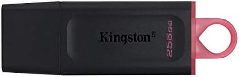 كينغستون ذاكرة فلاش داتا ترافلر اكسوديا 32 جيجابايت USB 3.2 DTX/32GB in Kuwait
