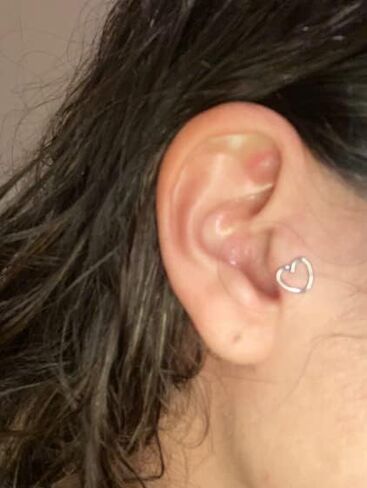 Briana Williams Tragus Piercing Jewelry Tragus Earrings for Women Horseshoe Tragus Cartilage Earring Hoop Flat Back Earrings Studs Lip Rings Labret Monroe Lip Piercing Jewelry in Kuwait