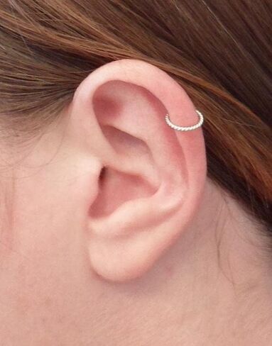 Briana Williams Tragus Piercing Jewelry Tragus Earrings for Women Horseshoe Tragus Cartilage Earring Hoop Flat Back Earrings Studs Lip Rings Labret Monroe Lip Piercing Jewelry in Kuwait