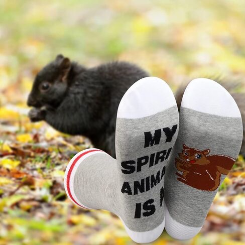 LEVLO 2 Pairs Hummingbird Socks Hummingbird Lover Gift My Spirit Animal Is A Hummingbird Novelty Socks in Kuwait