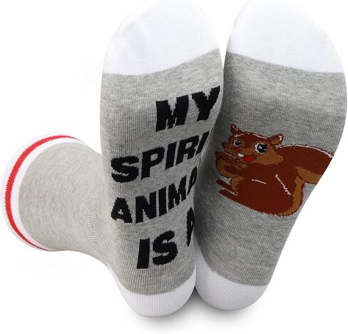 LEVLO 2 Pairs Hummingbird Socks Hummingbird Lover Gift My Spirit Animal Is A Hummingbird Novelty Socks in Kuwait