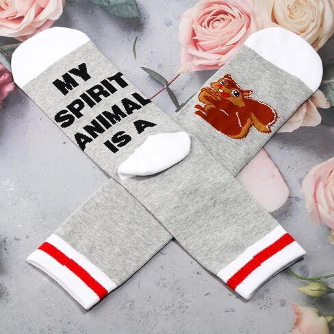 LEVLO 2 Pairs Hummingbird Socks Hummingbird Lover Gift My Spirit Animal Is A Hummingbird Novelty Socks in Kuwait