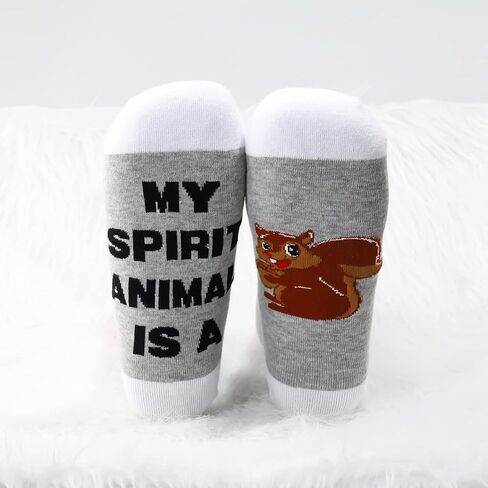 LEVLO 2 Pairs Hummingbird Socks Hummingbird Lover Gift My Spirit Animal Is A Hummingbird Novelty Socks in Kuwait