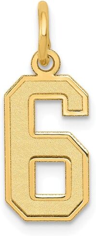 Solid 14k Yellow Gold Small Number 6 Charm Brushed Matte Finish Pendant - 18mm x 7mm in Saudi Arabia