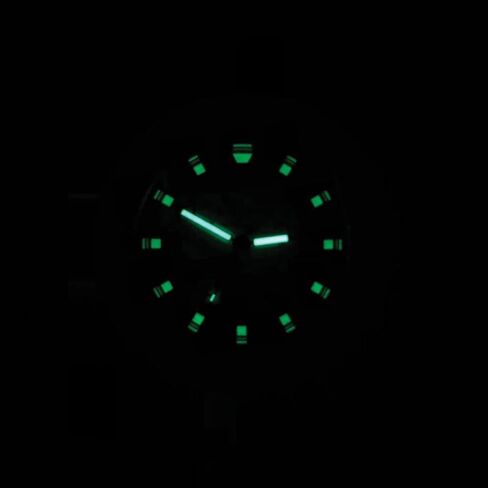 Bertucci A-2A Golden Field Watch | Gold Tone Case in Saudi Arabia