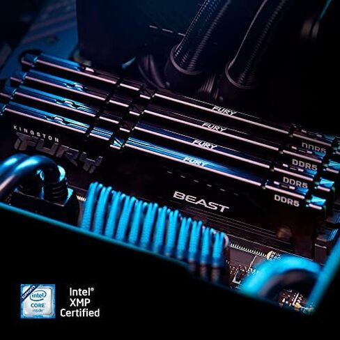 كينغستون مجموعة ذاكرة العاب مكتبية من فيري بيست سعة 32GB 2×16GB 5600MT/s DDR5 CL40 DIMM من قطعتين KF556C40BBK2 32، اسود in Kuwait