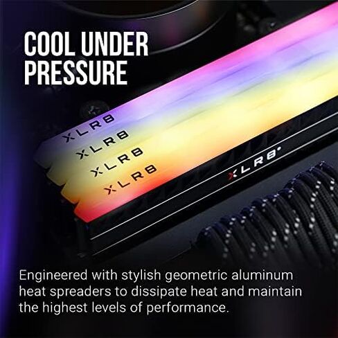بي إن واي XLR8 Gaming REV RGB 32 جيجابايت (2 × 16 جيجابايت) DDR4 3600 ميجاهرتز (PC4-28800) in Saudi Arabia