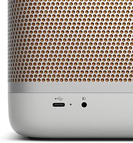 Bang & Olufsen Beolit 20 Portable Bluetooth Speaker - Grey Mist in Kuwait