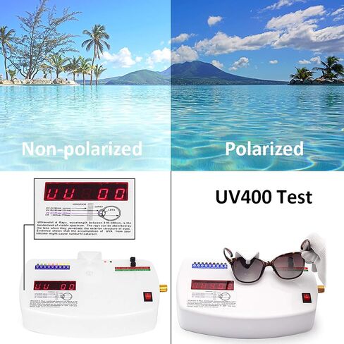 Retro Round Polarized Sunglasses for Women Men SCVGVER Classic Vintage Style in Saudi Arabia