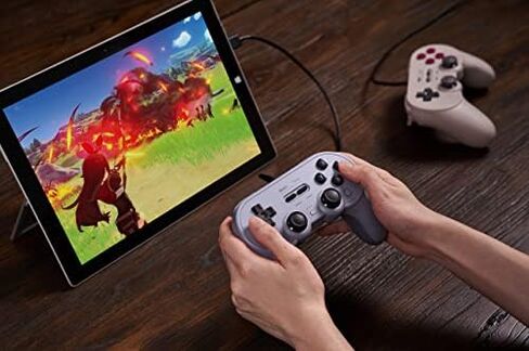 8BitDo Pro 2 Wired Controller for Switch, Windows, Steam Deck & Raspberry Pi (Gray Edition) in Saudi Arabia