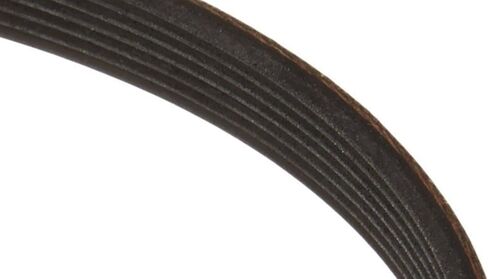 ChangTa 6602-001655 Dryer Drum Belt Replacement for Samsung in Saudi Arabia