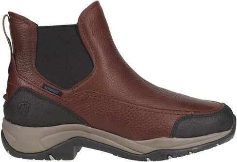 حذاء ARIAT الرجالي WMS Terrain Blaze H2o Drk BRN للكاحل in Kuwait