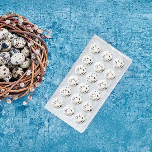 BSETONZON 50 قطعة 18 شبكة صغيرة سمان الدجاجة PVC علبة تخزين بيض قابلة للتكديس / علبة حفظ بيض شفافة علبة حماية للثلاجة للعائلة in Saudi Arabia