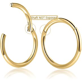 Afftiny Nose Ring Septum Hoop 20G/18G/16G/14G/12G 316L Surgical Stainless Steel Hinged Seamless Earrings, Diameter 5MM-16MM, Gold/Silver/Black/Rose Gold/Rainbow Color