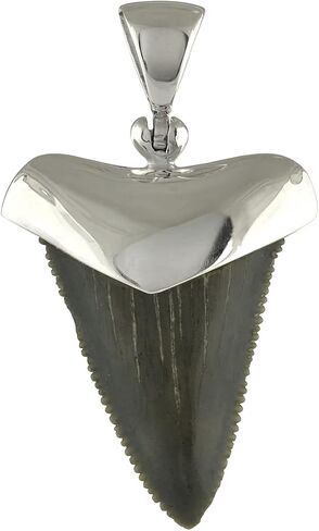 Starborn Fossil Shark Tooth Cap Set Pendant in Sterling Silver in Saudi Arabia