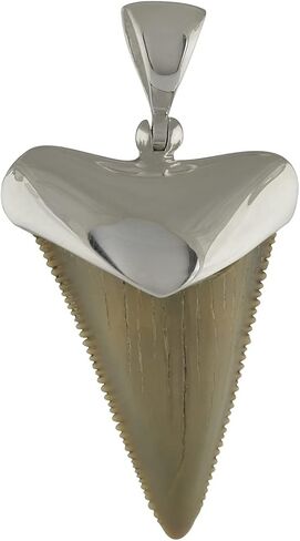 Starborn Fossil Shark Tooth Cap Set Pendant in Sterling Silver in Saudi Arabia