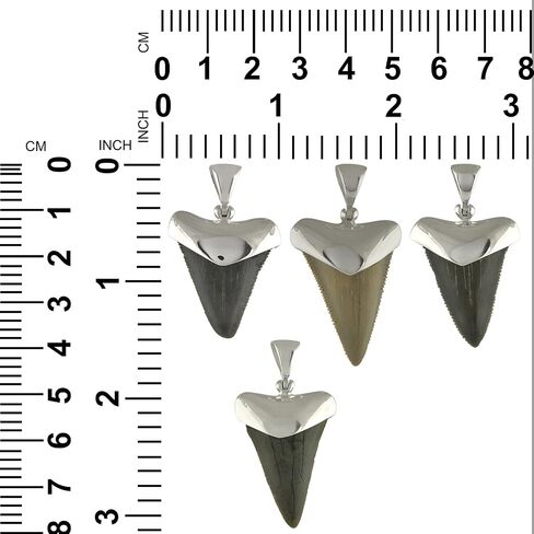 Starborn Fossil Shark Tooth Cap Set Pendant in Sterling Silver in Saudi Arabia