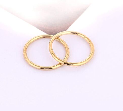 Afftiny Nose Ring Septum Hoop 20G/18G/16G/14G/12G 316L Surgical Stainless Steel Hinged Seamless Earrings, Diameter 5MM-16MM, Gold/Silver/Black/Rose Gold/Rainbow Color in Saudi Arabia
