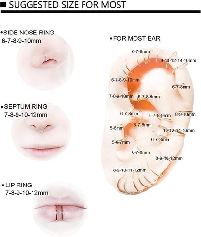 Afftiny Nose Ring Septum Hoop 20G/18G/16G/14G/12G 316L Surgical Stainless Steel Hinged Seamless Earrings, Diameter 5MM-16MM, Gold/Silver/Black/Rose Gold/Rainbow Color in Saudi Arabia