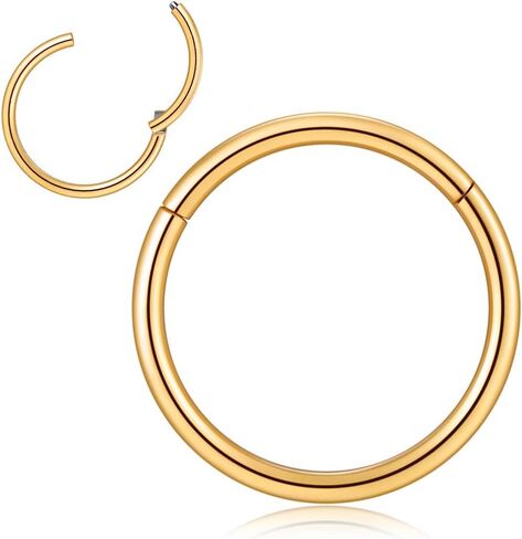 Afftiny Nose Ring Septum Hoop 20G/18G/16G/14G/12G 316L Surgical Stainless Steel Hinged Seamless Earrings, Diameter 5MM-16MM, Gold/Silver/Black/Rose Gold/Rainbow Color in Saudi Arabia