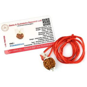 Aleafa Armlet Presents 3 Mukhi Rudraksha/Three Faced Rudraksha Pendant Original Rudraksha Locket (Color Brown) #Aport-0121 in Saudi Arabia