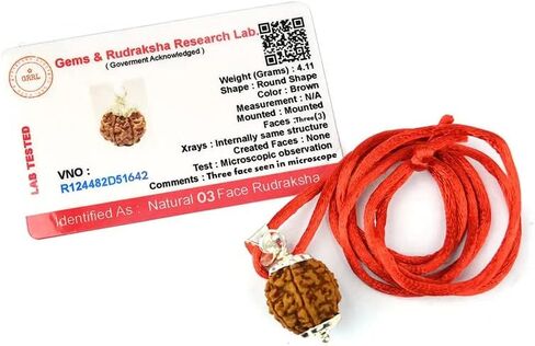 Aleafa Armlet Presents 3 Mukhi Rudraksha/Three Faced Rudraksha Pendant Original Rudraksha Locket (Color Brown) #Aport-0121 in Saudi Arabia