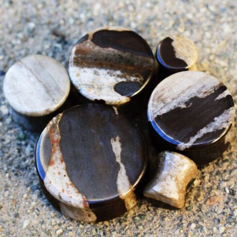 Covet Jewelry Natural African Zebra Stone Saddle Plug in Kuwait