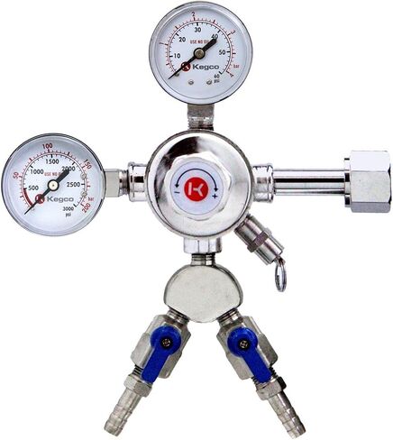 Kegco 3PSTCK2-NT Kegerator Kit, 2-Tap, Chrome in Saudi Arabia