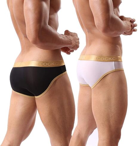 Mens Sexy Micro Mesh Briefs Soft Breathable Underwear Cool Men's Briefs Pack in Saudi Arabia