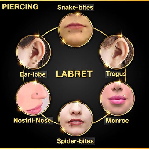 3PCS Steel Labret 16g 1.2mm 4mm Ball Marilyn Monroe Spiderbite Tragus Snakebites Earrings Spiderbite Piercing Jewelry in Saudi Arabia