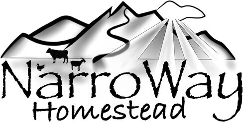 Narroway All Natural Beard Butter 4 oz Jar (Fresh Roast Coffee) in Saudi Arabia