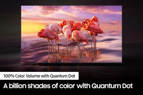 تلفزيون سامسونج QN65Q60BAFXZA 65 بوصة QLED Quantum HDR 4K الذكي مع مكبرات صوت Enclave EA-1000-THX-US CineHome Pro CineHub Edition 5.1Ch (2022) in Saudi Arabia
