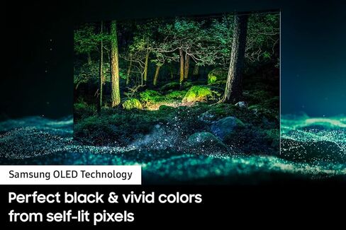 SAMSUNG 65-Inch Class OLED 4K S95B Series Quantum HDR, Dolby Atmos, Object Tracking Sound, Laser Slim Design, Smart TV with Alexa Built-In (QN65S95BAFXZA, 2022 Model) in Saudi Arabia