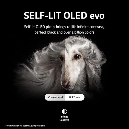 LG 83-Inch Class OLED evo Gallery Edition G2 Series Alexa Built-in 4K Smart TV, 120Hz Refresh Rate, AI-Powered, Dolby Vision IQ and Dolby Atmos, WiSA Ready, Cloud Gaming (OLED83G2PUA, 2022) (Renewed) in Kuwait