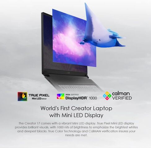 كمبيوتر محمول MSI Creator 17 الاحترافي: شاشة 17.3 بوصة 4K UHD HDR 1000 Mini LED، Intel Core i7-10875H، GeForce RTX 2070 SUPER، ذاكرة وصول عشوائي 32 جيجابايت، 1 تيرابايت NVMe SSD، Thunderbolt 3، 100% Adobe RGB، Win10 PRO (ASFS-254) in Saudi Arabia