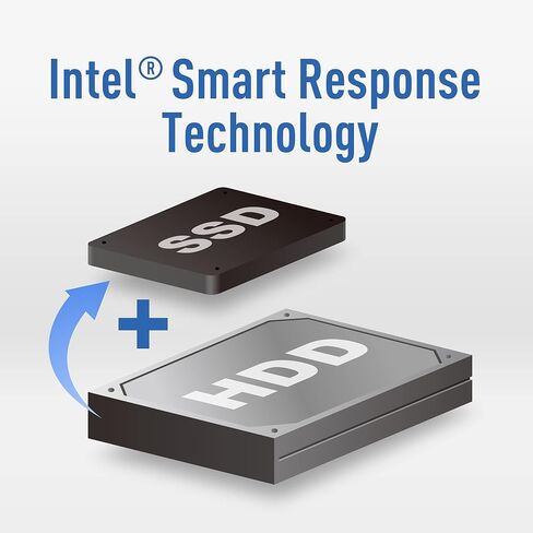 TEAMGROUP MS30 512GB مع SLC Cache 3D NAND TLC M.2 2280 SATA III 6Gb/s محرك أقراص الحالة الصلبة الداخلي SSD (سرعة القراءة/الكتابة تصل إلى 530/430 ميجابايت/ثانية) متوافق مع الكمبيوتر المحمول والكمبيوتر المكتبي TM8PS7512G0C101 in Kuwait