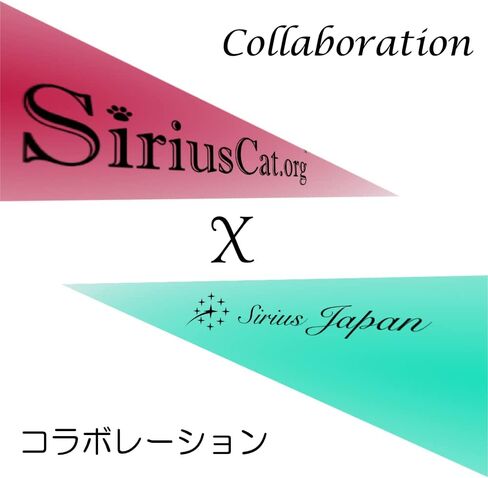 Sirius Cat SSD، 480 جيجابايت، منتج تعاون Sirius Cat من Sirius Japan، 2.5 بوصة، SATA 3، 6.0 جيجابايت/ثانية، SCD-480G in Saudi Arabia