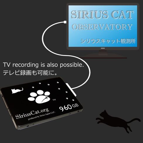 Sirius Cat SSD، 480 جيجابايت، منتج تعاون Sirius Cat من Sirius Japan، 2.5 بوصة، SATA 3، 6.0 جيجابايت/ثانية، SCD-480G in Saudi Arabia