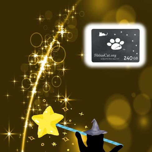 Sirius Cat SSD، 480 جيجابايت، منتج تعاون Sirius Cat من Sirius Japan، 2.5 بوصة، SATA 3، 6.0 جيجابايت/ثانية، SCD-480G in Saudi Arabia