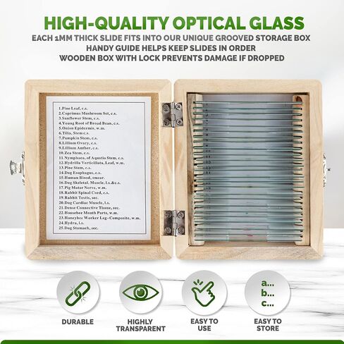 AmScope M162C-2L-PB10-WM-SP14-50P100S 40X-1000X Beginners Microscope Kit & PS25 Prepared Microscope Slide Set for Basic Biological Science Education, 25 Slides, Includes Fitted Wooden Case Brown in Saudi Arabia