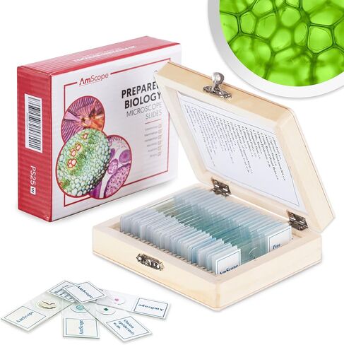 AmScope M162C-2L-PB10-WM-SP14-50P100S 40X-1000X Beginners Microscope Kit & PS25 Prepared Microscope Slide Set for Basic Biological Science Education, 25 Slides, Includes Fitted Wooden Case Brown in Saudi Arabia