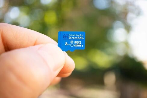 كل شيء ولكن بطاقة ذاكرة Micro SD سعة 8 جيجابايت من Stromboli مع محول (عبوة من قطعتين) فئة 10، U1، UHS-1، بطاقة TF Micro SDHC لهاتف Samsung Galaxy المتوافق أو الكمبيوتر اللوحي، كاميرا Dash Cam، كاميرا الحركة، كاميرا الأمان in Saudi Arabia